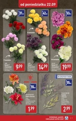 Styl i wygoda na każdy dzień - Aldi
