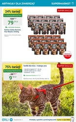 Gazetka promocyjna Erli