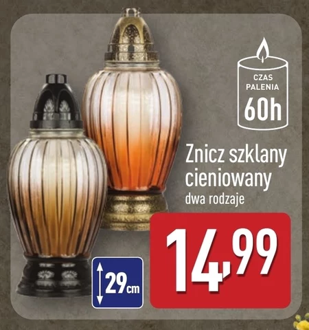 Znicz