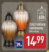 Znicz