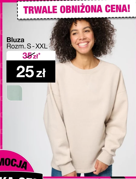 Bluza