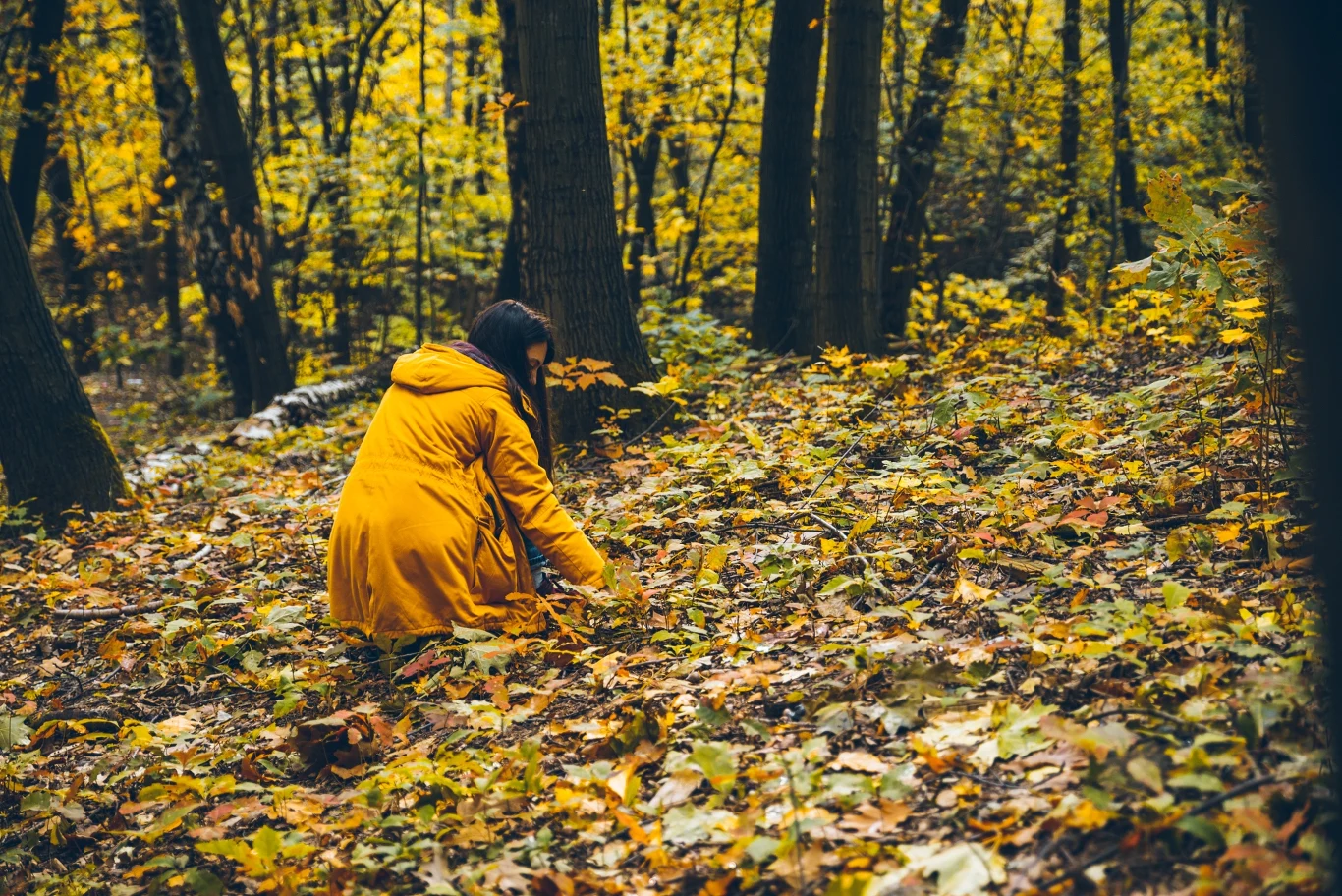 Jesienne rytuały mogą przynieść sporo szczęścia 