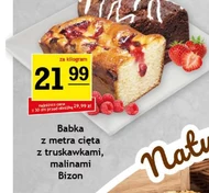 Babka Bizon