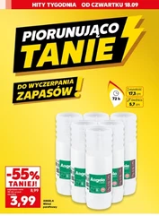 Okazje na Dzień Zmarłych w Kauflandzie