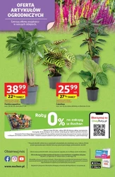 Zakupy pełne korzyści - Auchan
