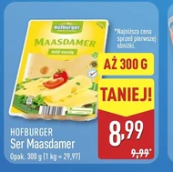 Ser Hofburger