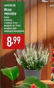 Хізер Gardenline