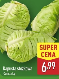 Kapusta