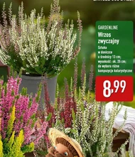 Хізер Gardenline