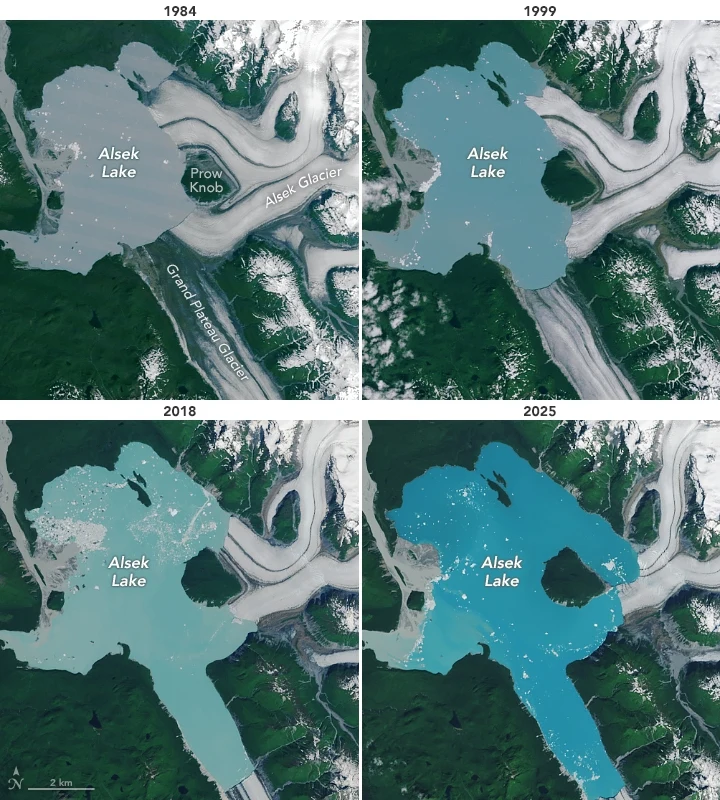 Porównanie zmian powierzchni jeziora Alsek w latach 1984, 1999, 2018 i 2025 na podstawie zdjęć satelitarnych. Widoczny znaczny wzrost powierzchni jeziora oraz cofanie się lodowca Alsek. Okoliczne tereny zielone i górskie pozostają w tle.