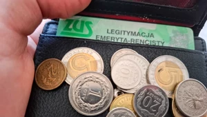 ZUS ujawnił dane. Tyle wynosi przeciętna emerytura w 2025 roku