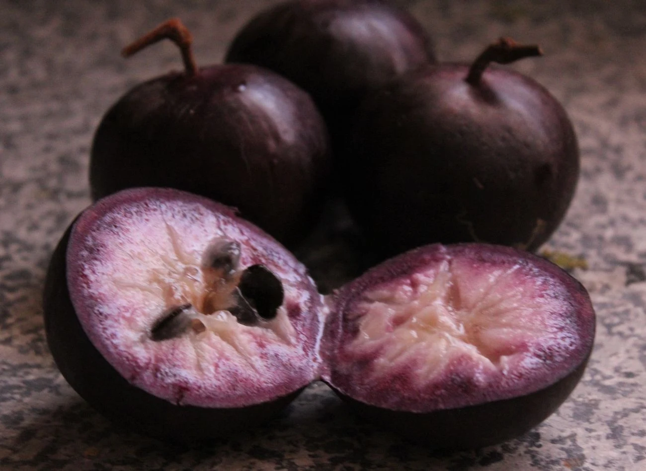 Ten owoc jest tak mięsisty i soczysty, że trzeba go wyjadać łyżeczką. Ten owoc jest tak mięsisty i soczysty, że trzeba go wyjadać łyżeczką.