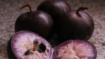 Ten owoc jest tak mięsisty i soczysty, że trzeba go wyjadać łyżeczką. 