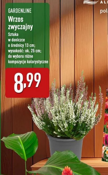Хізер Gardenline