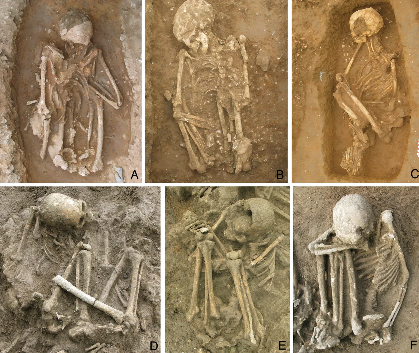 Przykłady pochówków ludzkich z wczesnego i środkowego holocenu z południowych Chin. Wszyscy pochowani znajdują się w pozycjach skulonych Szeregi ludzkich szkieletów ułożone w jamach grobowych, każdy w innej pozycji, zachowane w różnych stanach, widoczne detale kości i czaszek, otoczone ziemią archeologiczną.