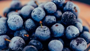 Możliwości kulinarne tarniny są bardzo szerokie. Regularne włączanie jej przetworów do diety na pewno okaże się doskonałą decyzją.