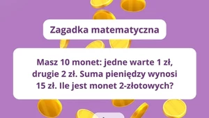 Test 10 monet: Sprawdź, czy jesteś mistrzem matematyki