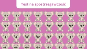 Sprawdź, czy twój wzrok się pogorszył. Prosty test na spostrzegawczość