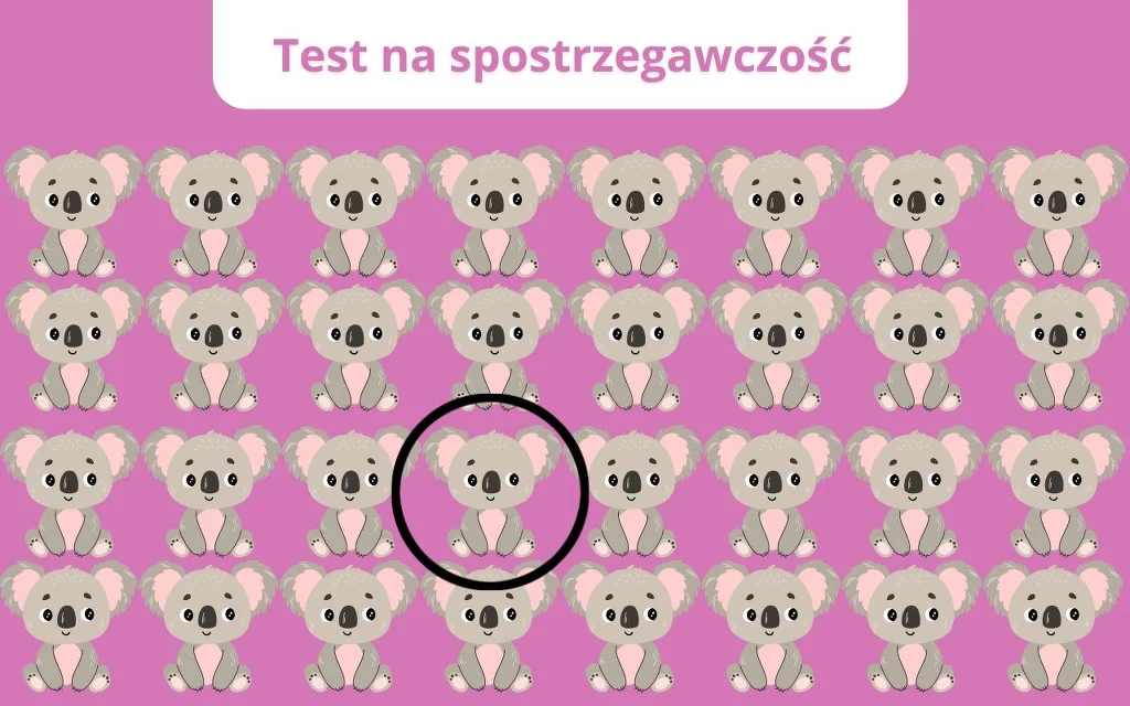 Rząd rysunkowych misiów koala na różowym tle, pośród nich jeden różni się od pozostałych i jest oznaczony czarnym okręgiem, na górze znajduje się napis 'Test na spostrzegawczość'.