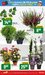 Hity cenowe na każdy dzień - Polomarket