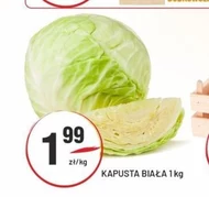 Kapusta biała