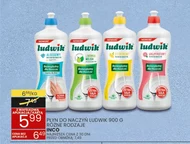 Płyn do naczyń Ludwik