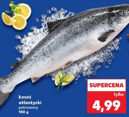 Лосось Łosoś
