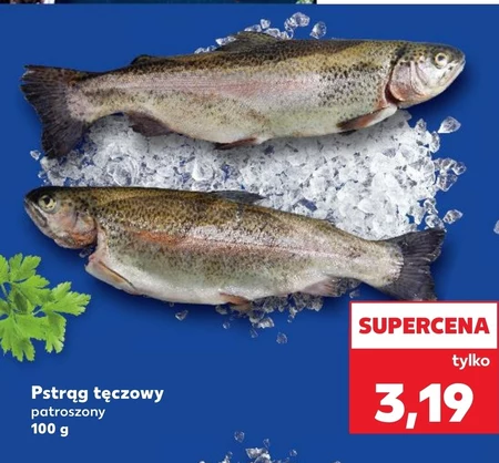 Pstrąg tęczowy
