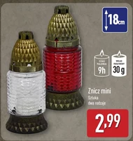 Znicz