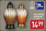 Znicz