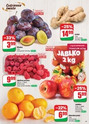 Złap okazję na każdy dzień - Dino