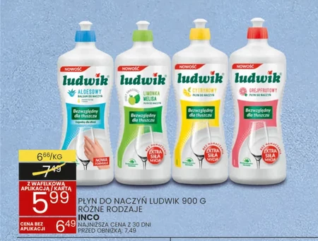 Płyn do naczyń Ludwik