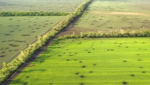 Dronowa katastrofa ekologiczna w Ukrainie uderzy w całą planetę