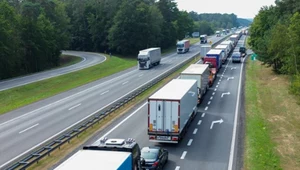 Polskie hity podbijają świat. Oto co zamawia od nas zagranica