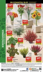Codzienne okazje w Delikatesach Centrum