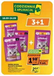 Jesień pełna energii i smaku - Moje klepy