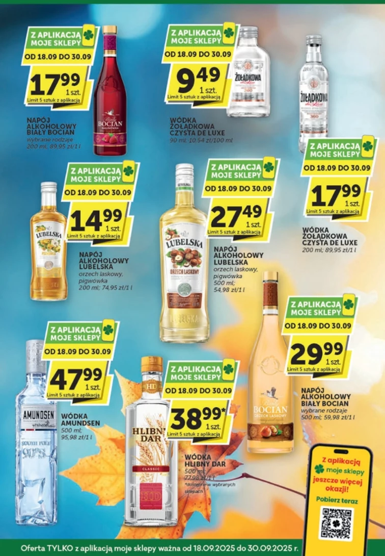 leaflet page preview image