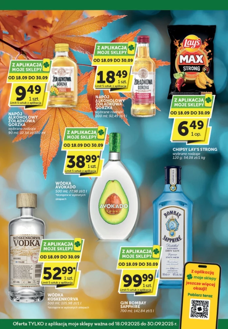 leaflet page preview image