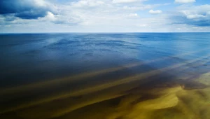 Bałtyk skrywa więcej, niż myślisz. Od skarbów po wielkie zagrożenia