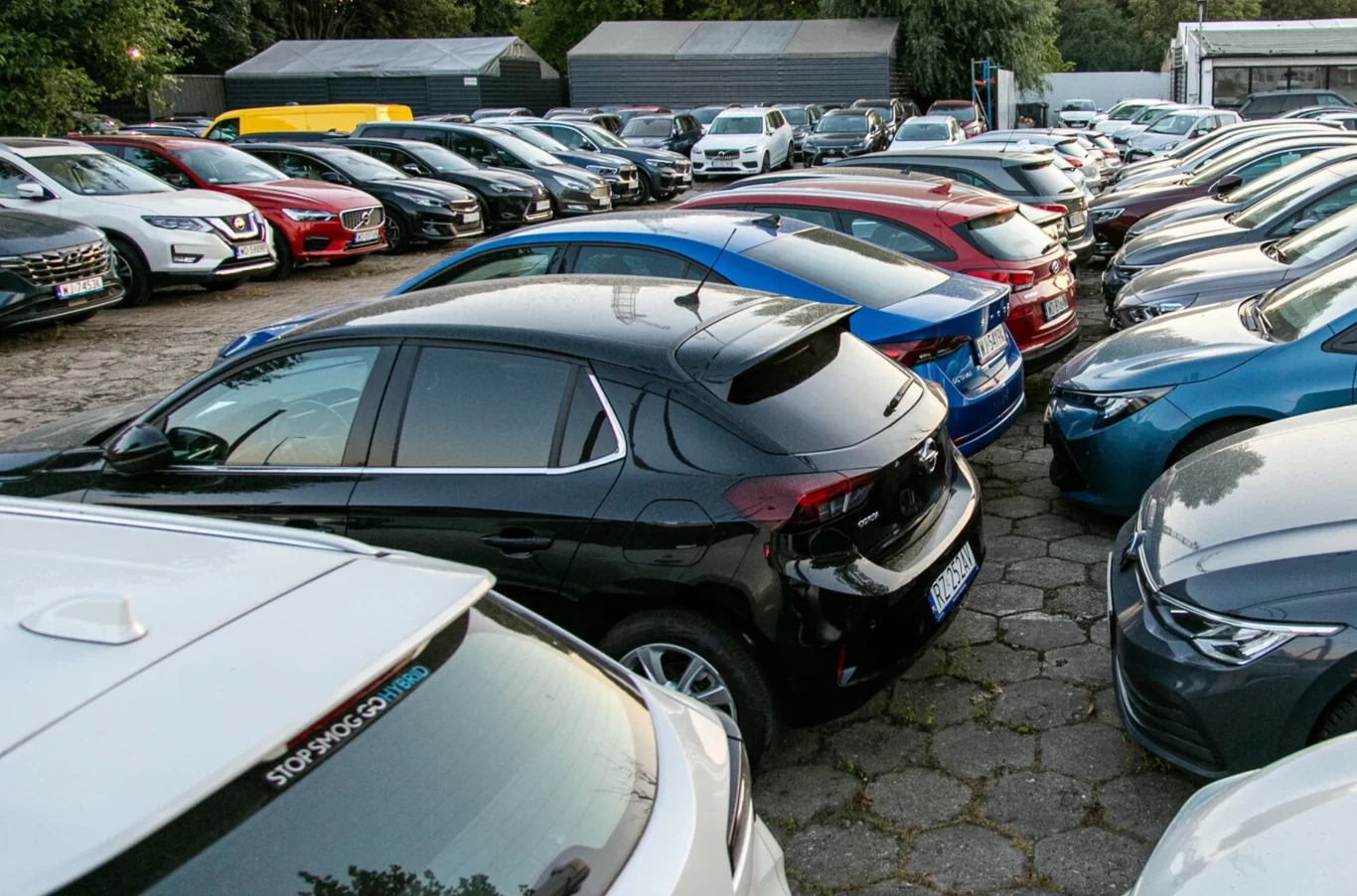 Rzędy zaparkowanych samochodów na utwardzonym parkingu, różne marki i kolory aut ustawione blisko siebie, w tle budynki gospodarcze oraz drzewa