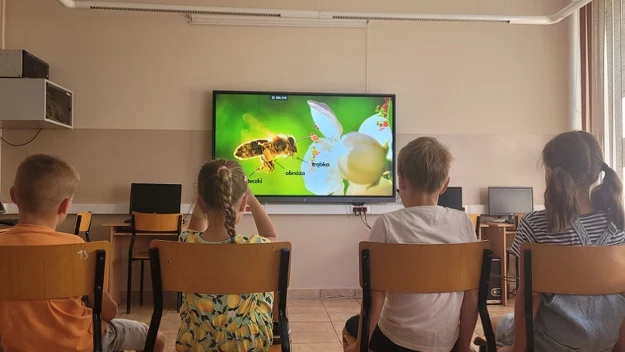 Grupa dzieci siedzących tyłem na krzesłach w szkolnej pracowni komputerowej, patrzących na duży ekran, na którym wyświetlany jest zbliżony obraz pszczoły i kwiatu.