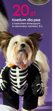 Kostium na halloween