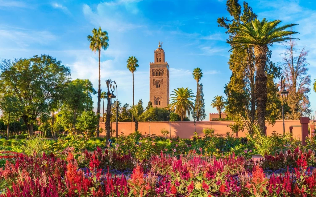Marrakesz jest bogaty w wiele zabytków i atrakcji Ogrody z bujną roślinnością i kolorowymi kwiatami, w tle wieża minaretu w otoczeniu palm i jasne błękitne niebo.