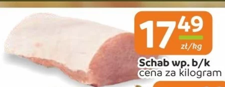 Schab
