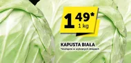 Kapusta biała
