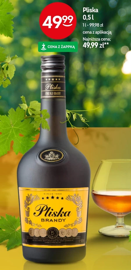 Бренді Pliska