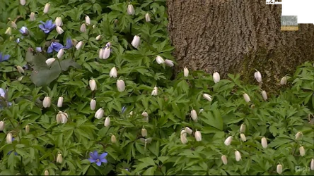 Czysta Polska - odc. 6