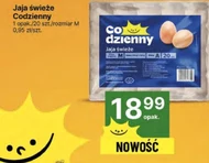 Jaja Codzienny