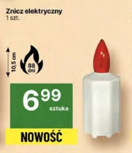 Znicz