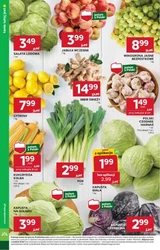 Hit tygodnia – Stokrotka Market